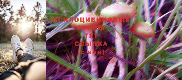 трава Баксан